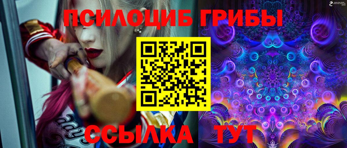 Галлюциногенные грибы GOLDEN TEACHER Ярославль