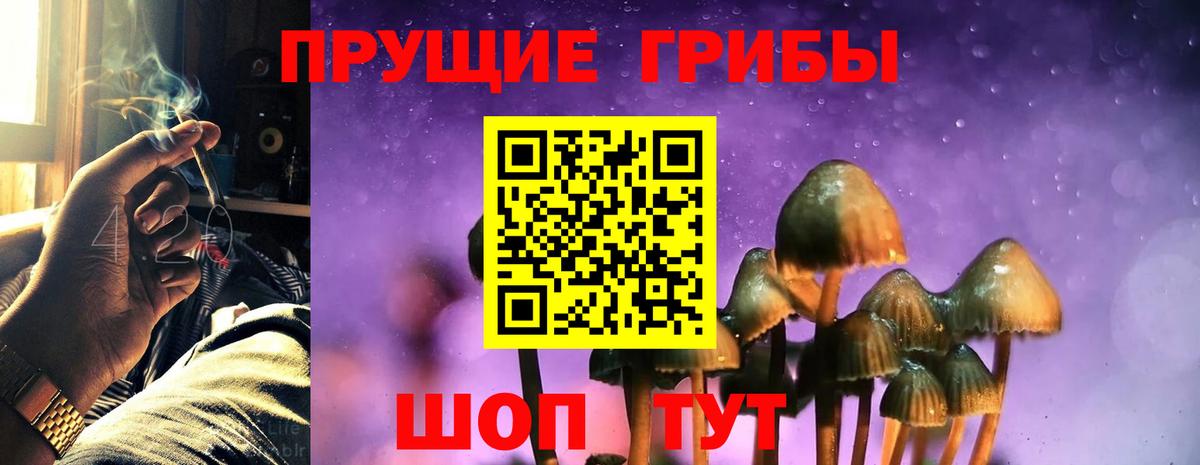 Псилоцибиновые грибы MAGIC MUSHROOMS  Вход с VPN  Ярославль 