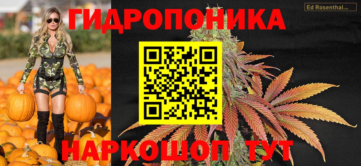 Конопля OG Kush Ярославль